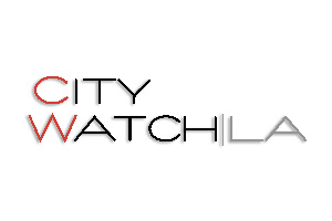 CityWatch - Fiesta Broadway 2024
